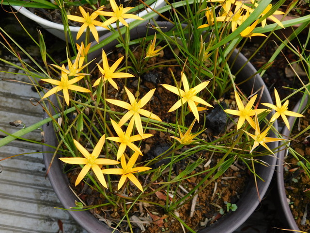 DSCN7778.JPG