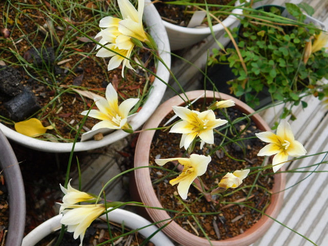 DSCN7781.JPG