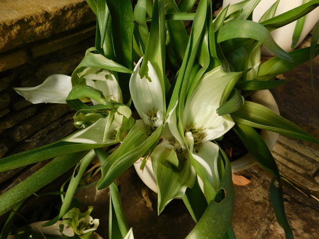 DSCN8024.JPG