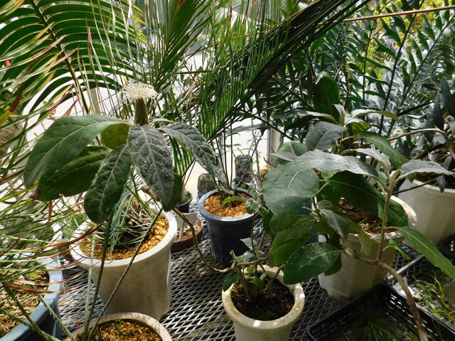 DSCN8064.JPG
