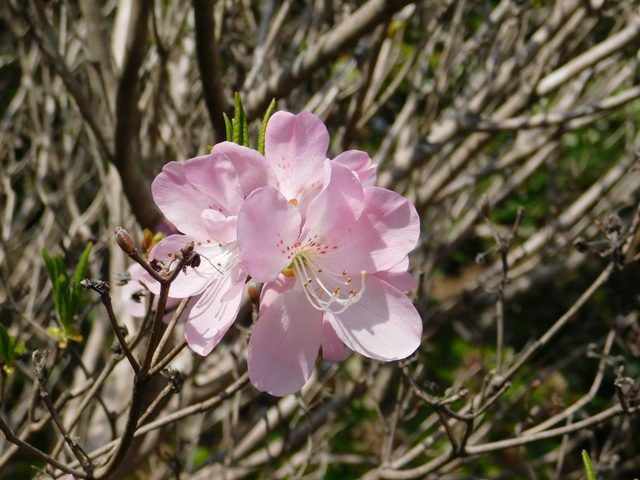 DSCN8074.JPG