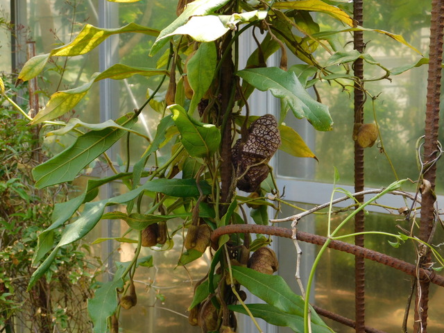 DSCN8084.JPG