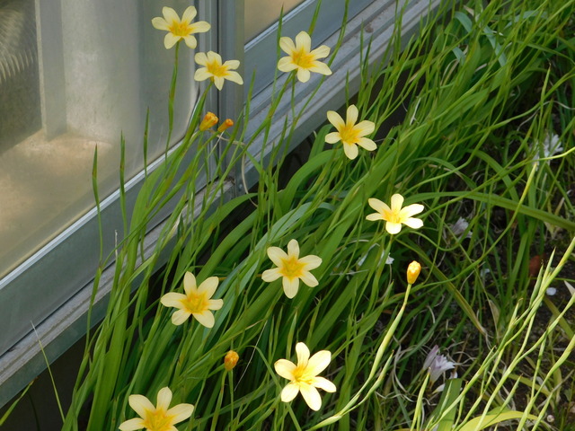 DSCN8086.JPG