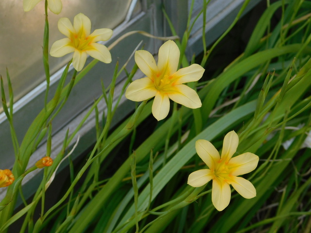 DSCN8087.JPG