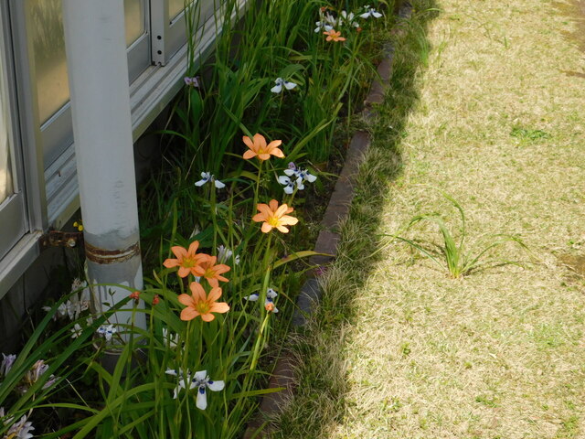DSCN8090.JPG