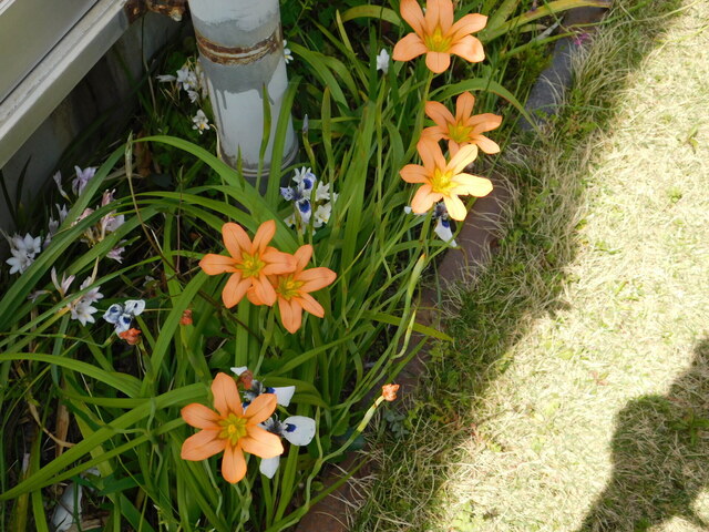 DSCN8091.JPG