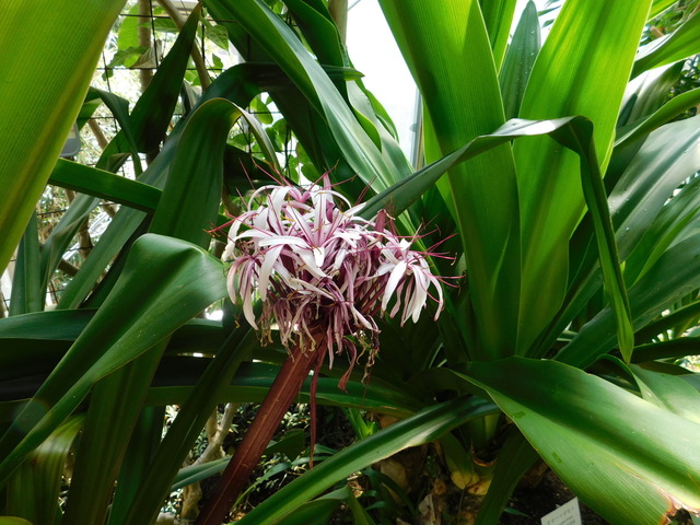 DSCN8129.JPG