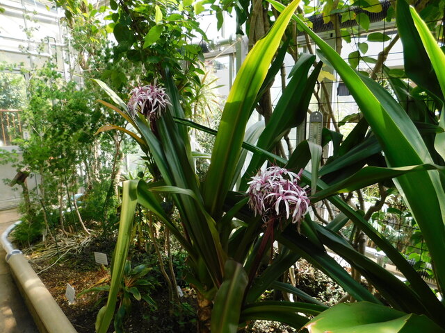 DSCN8132.JPG