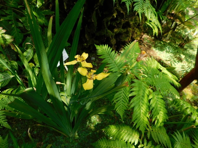 DSCN8134.JPG
