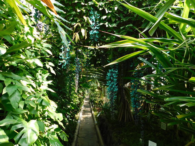 DSCN8136.JPG