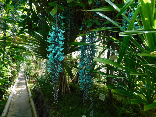 DSCN8137.JPG