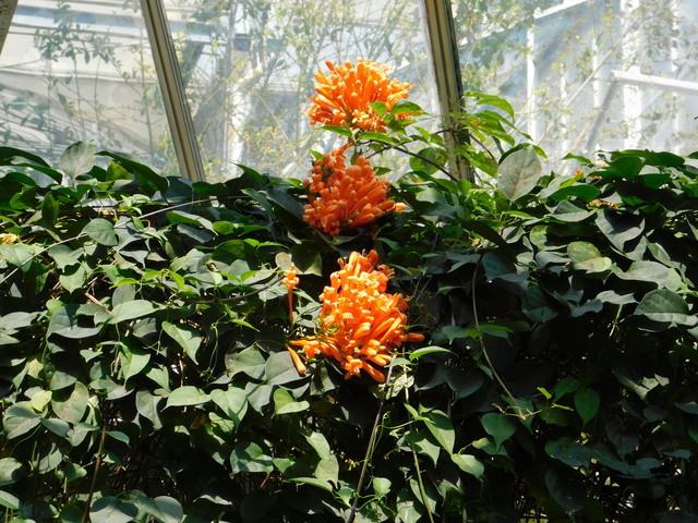 DSCN8143.JPG