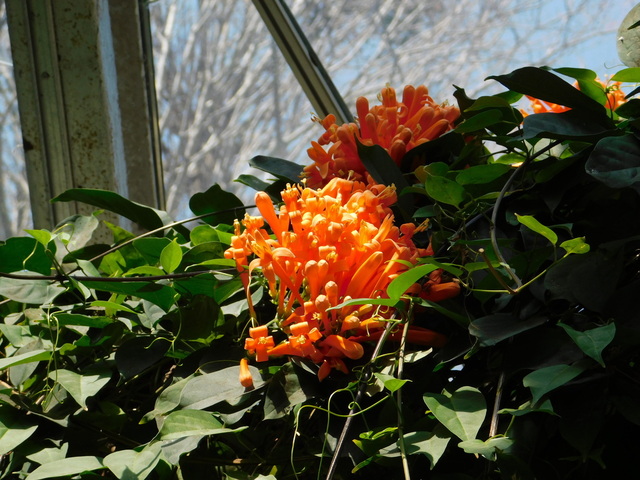DSCN8145.JPG