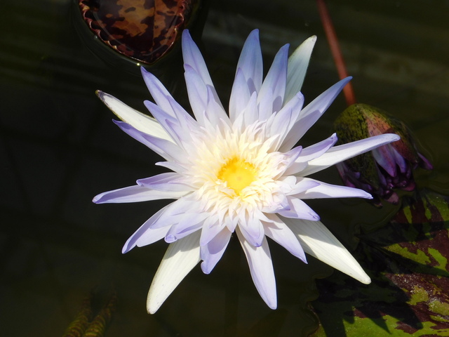 DSCN8158.JPG