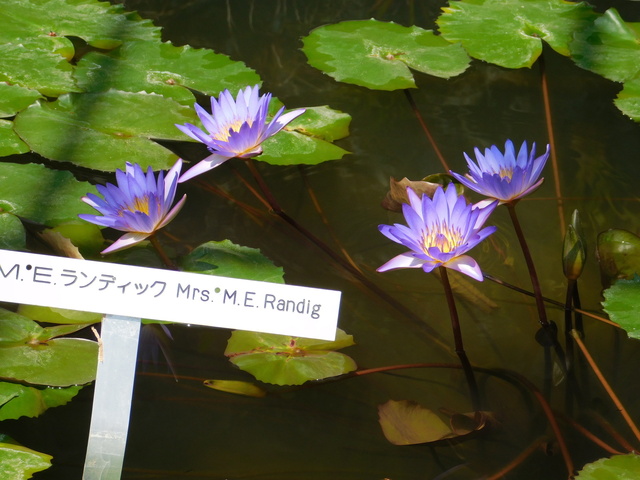 DSCN8162.JPG