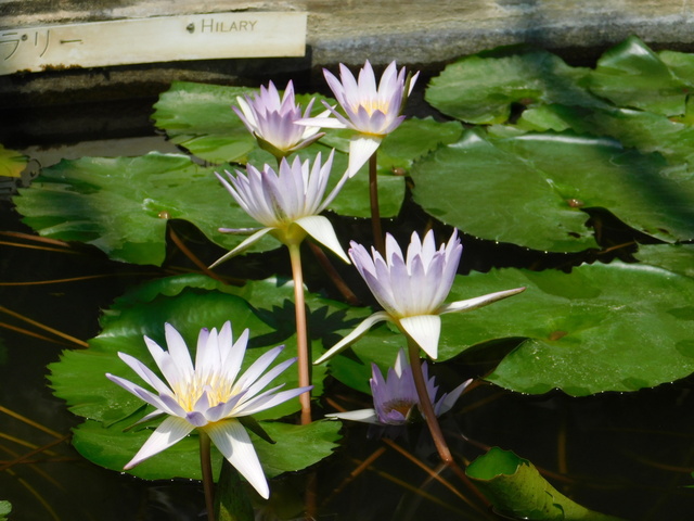 DSCN8165.JPG