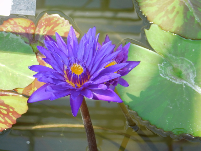 DSCN8167.JPG