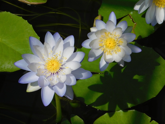 DSCN8169.JPG