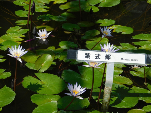 DSCN8177.JPG