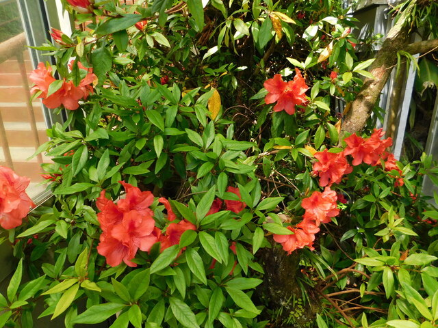DSCN8179.JPG