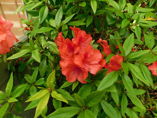 DSCN8180.JPG