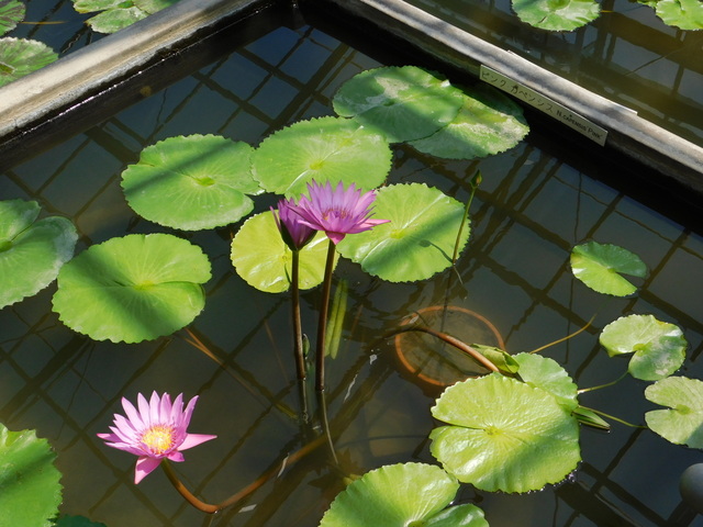 DSCN8183.JPG