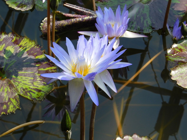 DSCN8189.JPG