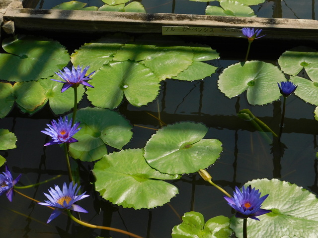 DSCN8191.JPG