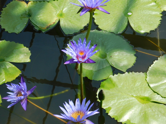 DSCN8192.JPG