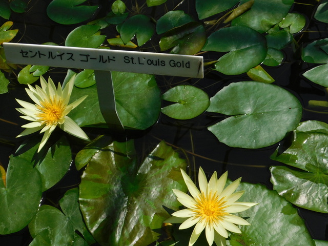 DSCN8195.JPG
