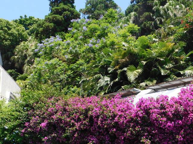 DSCN8229.JPG