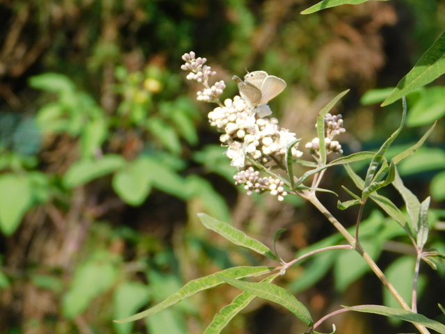 DSCN8244.JPG