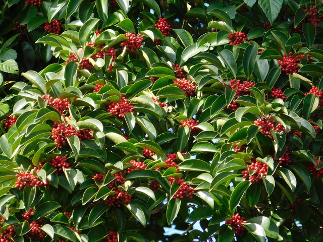 DSCN8261.JPG