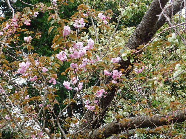 DSCN8272.JPG