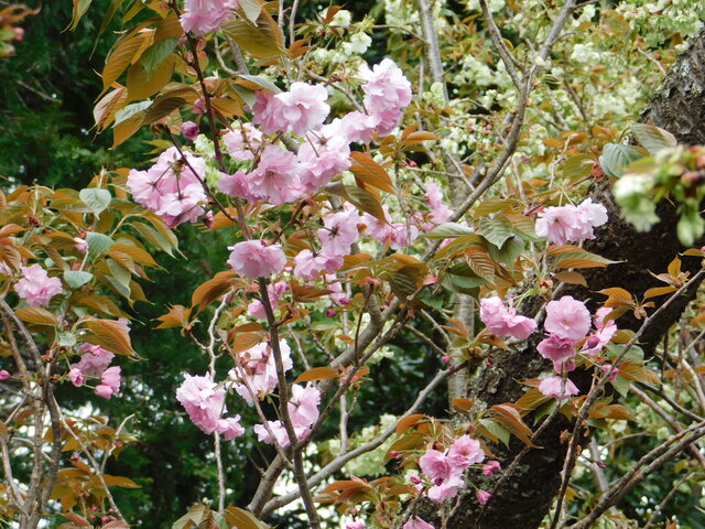 DSCN8275.JPG