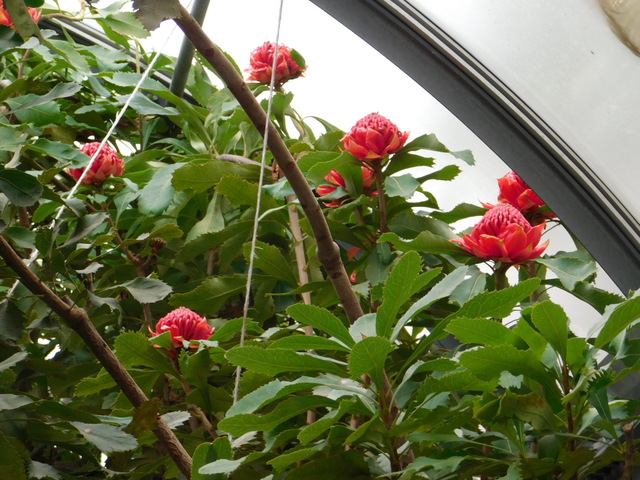 DSCN8289.JPG