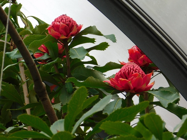 DSCN8291.JPG