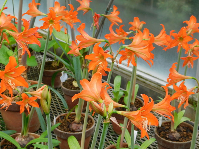 DSCN8308.JPG