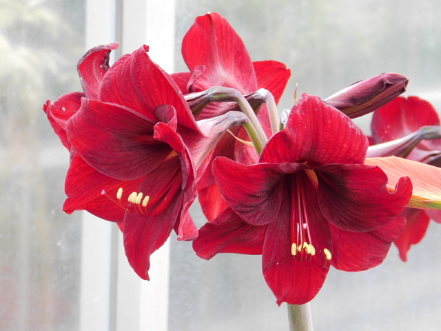 DSCN8312.JPG