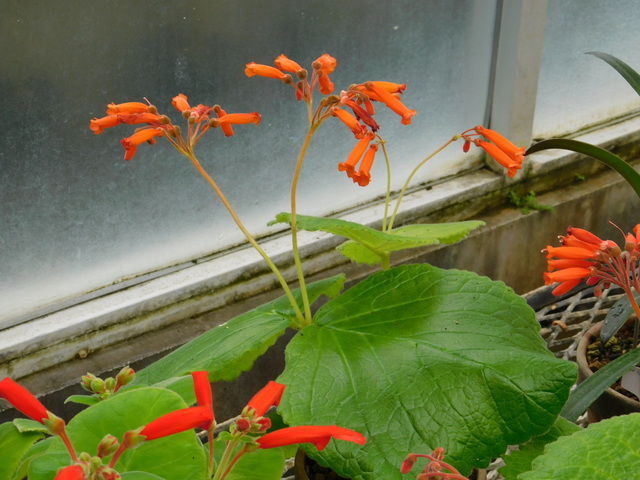 DSCN8314.JPG
