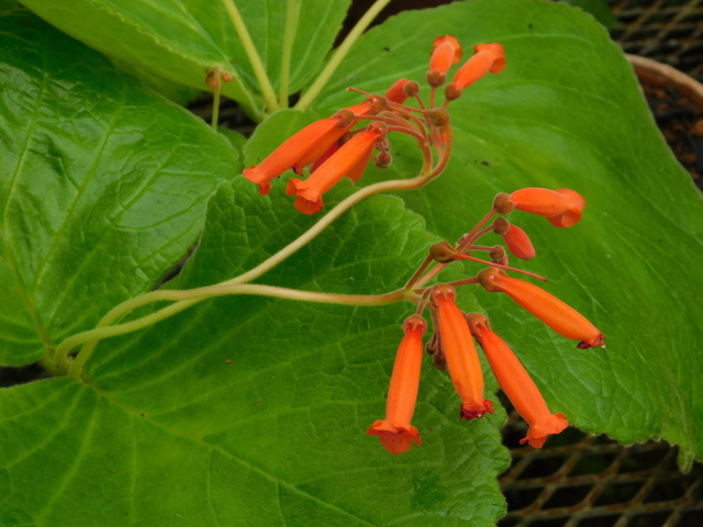 DSCN8317.JPG