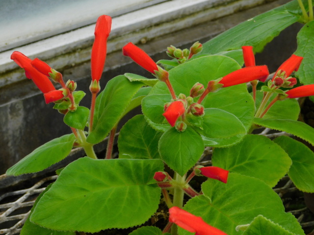 DSCN8319.JPG