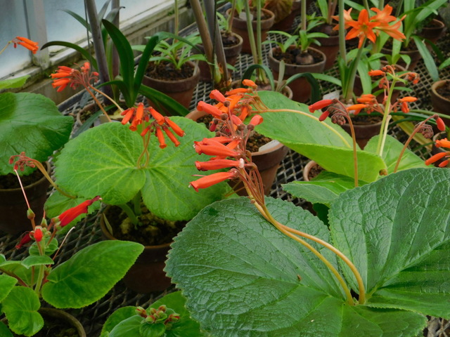 DSCN8320.JPG