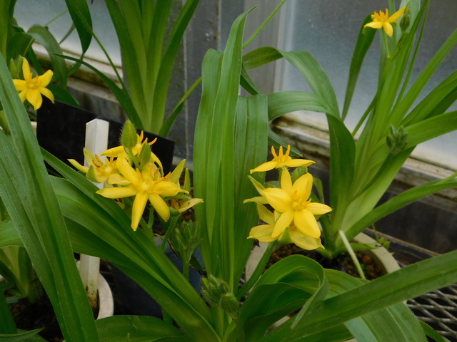 DSCN8323.JPG