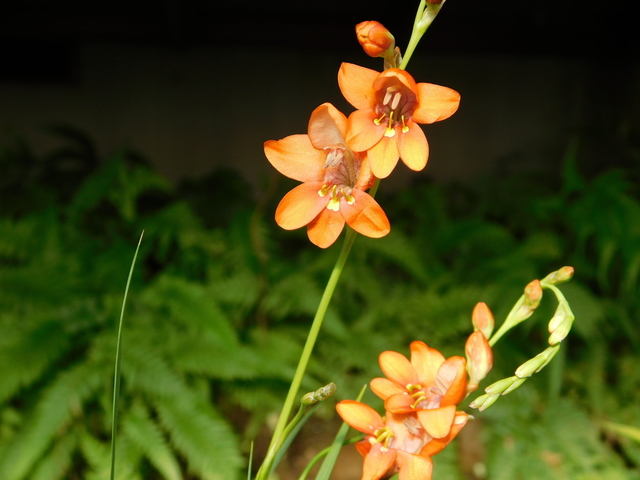 DSCN8352.JPG