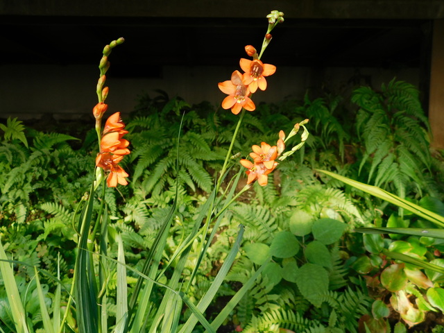 DSCN8354.JPG