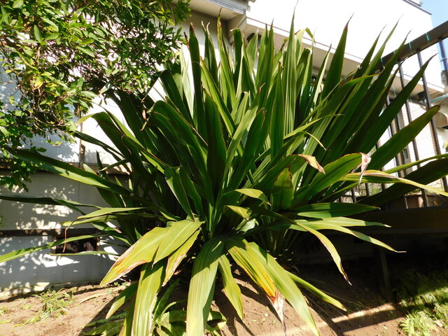 DSCN8357.JPG