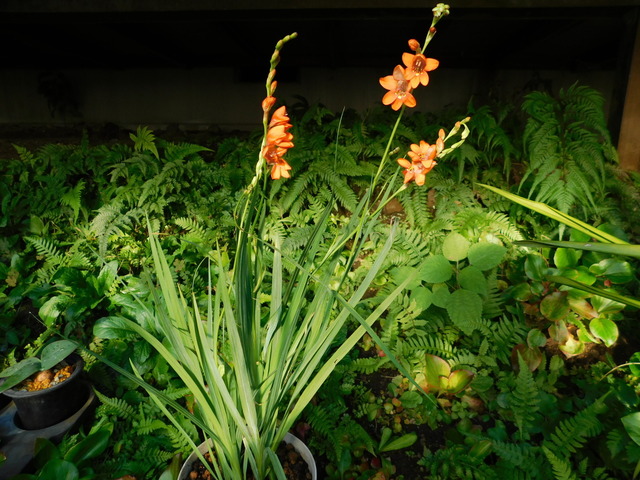 DSCN8357.JPG