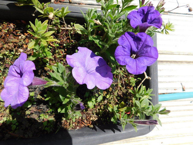 DSCN8359.JPG