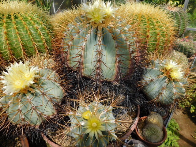 DSCN8361.JPG
